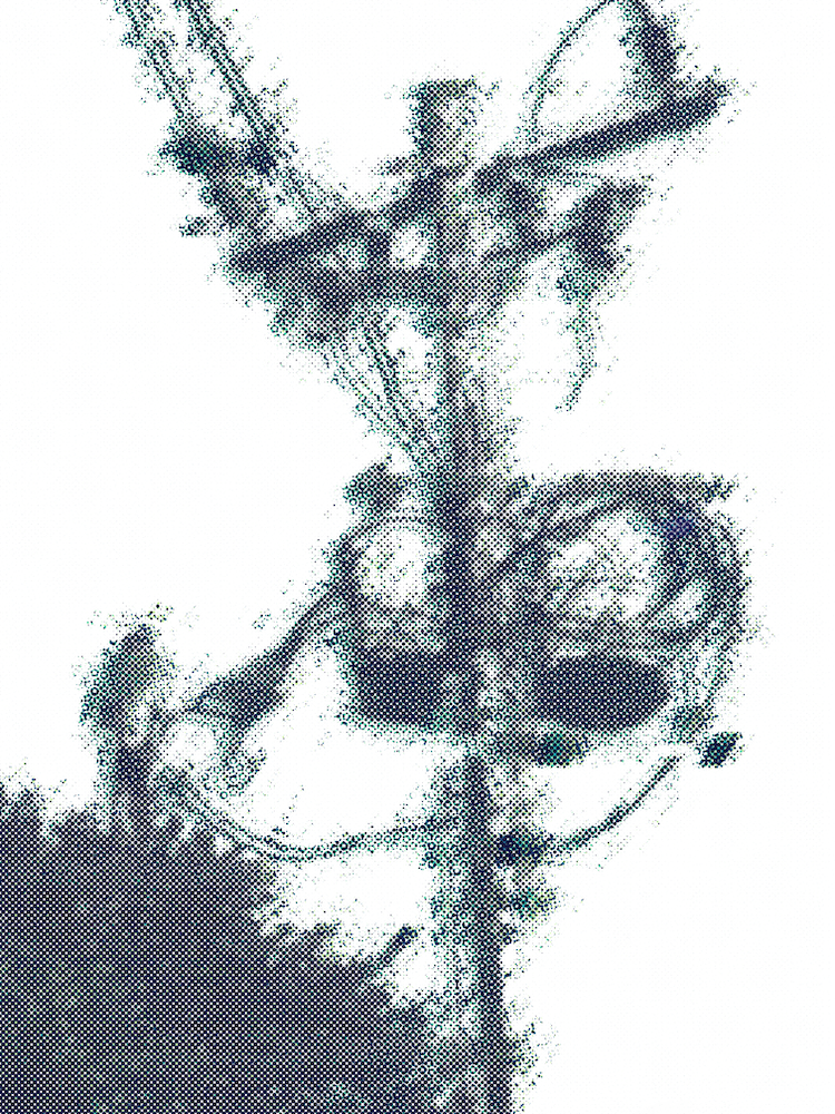 Landscape Image 1