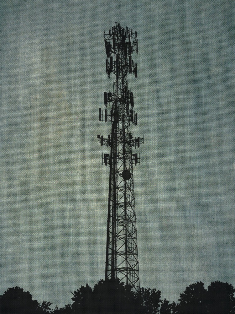 Landscape Image 1