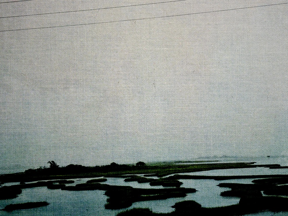 Landscape Image 1