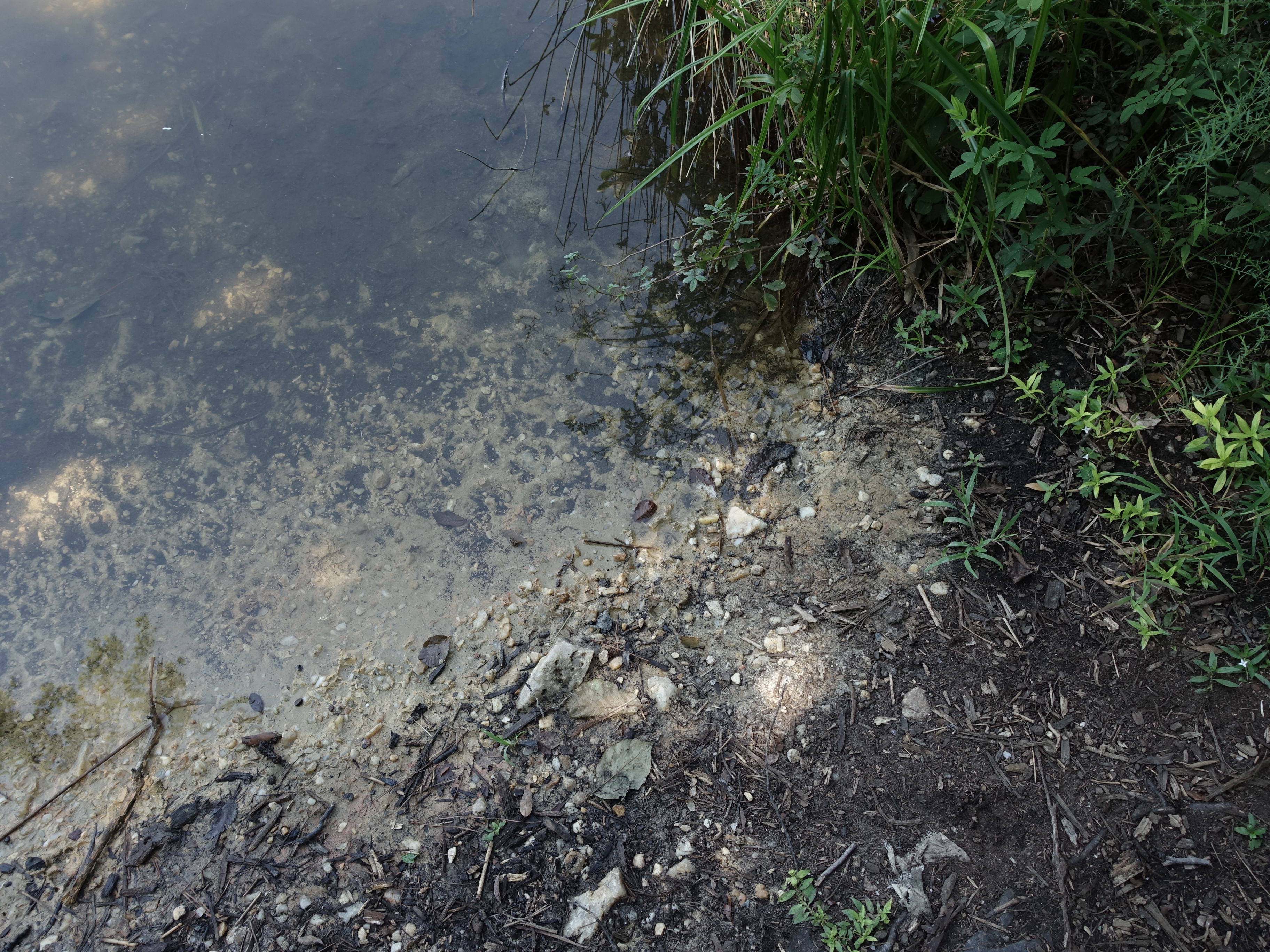 Landscape Image 1