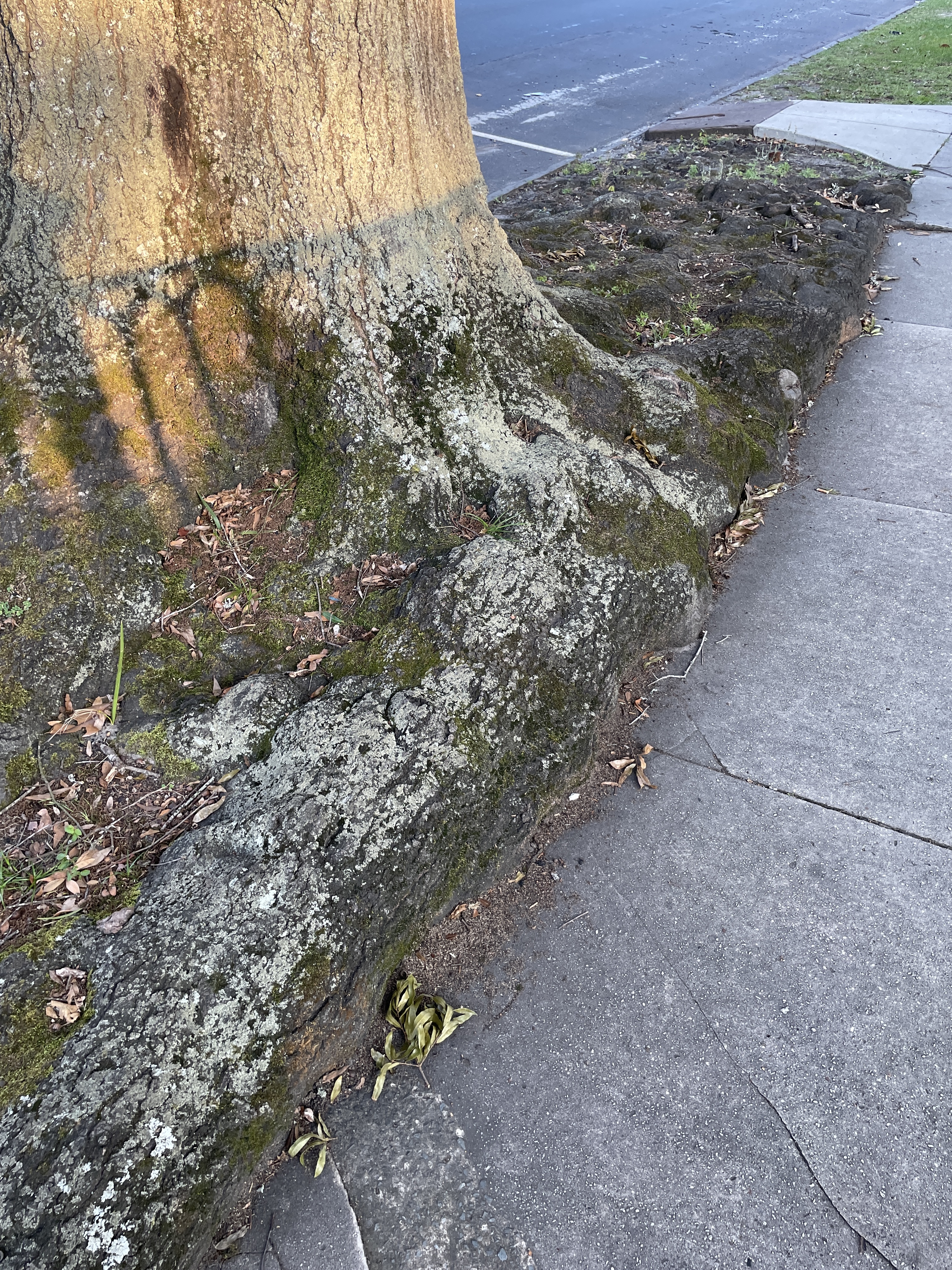 Landscape Image 1
