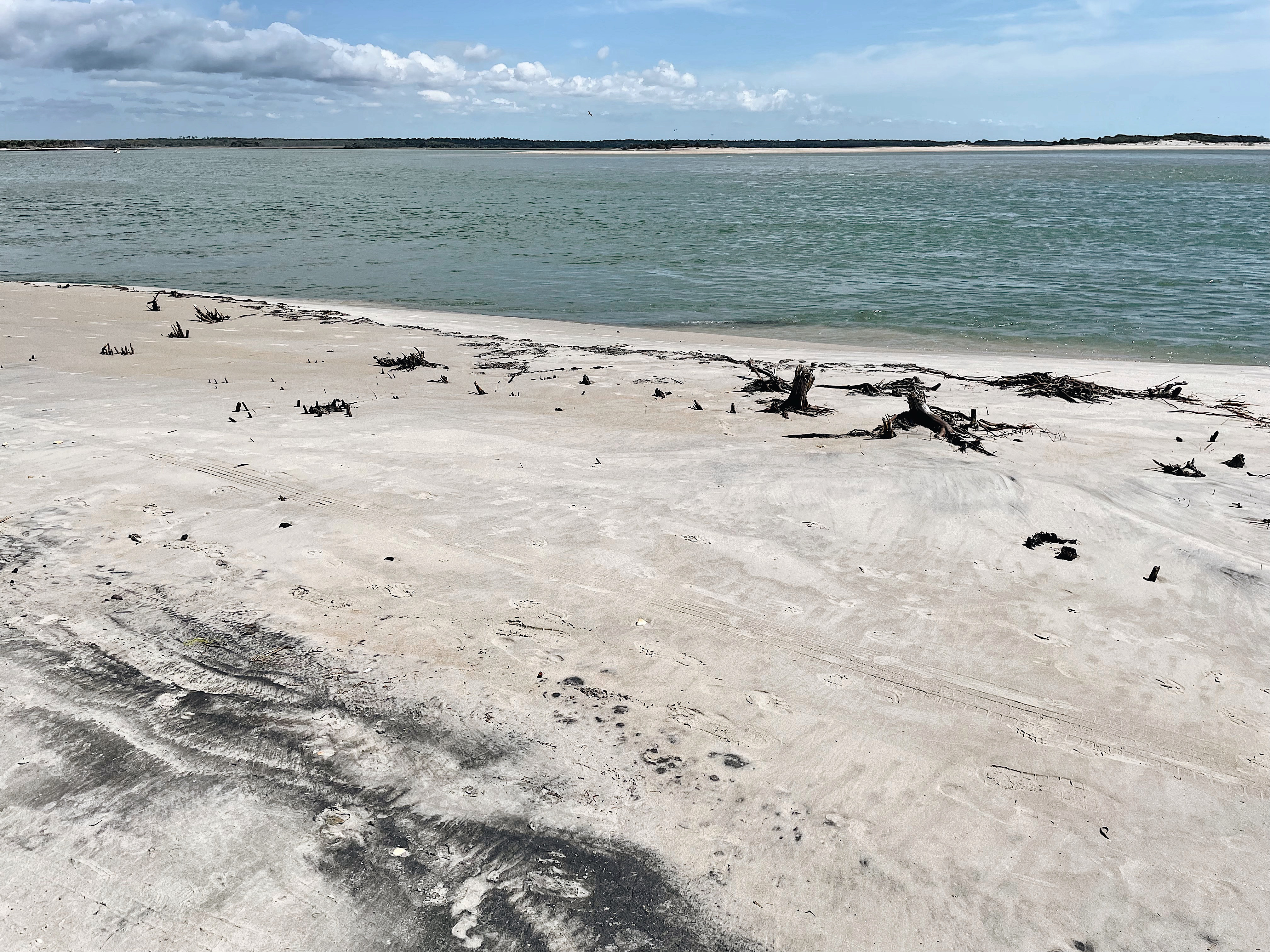 Landscape Image 1
