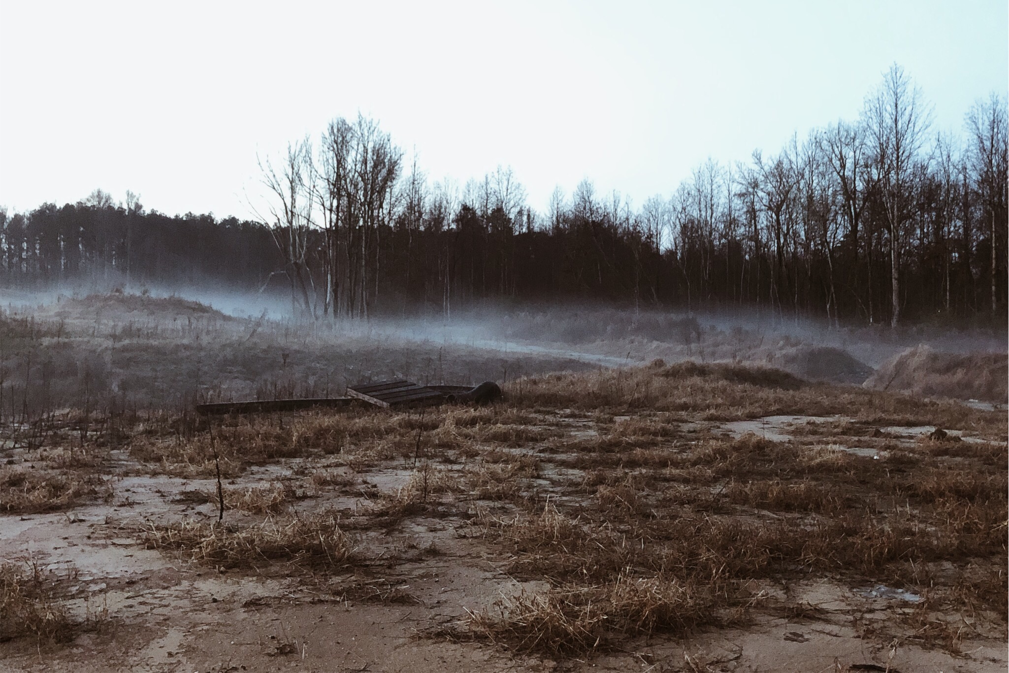 Landscape Image 1