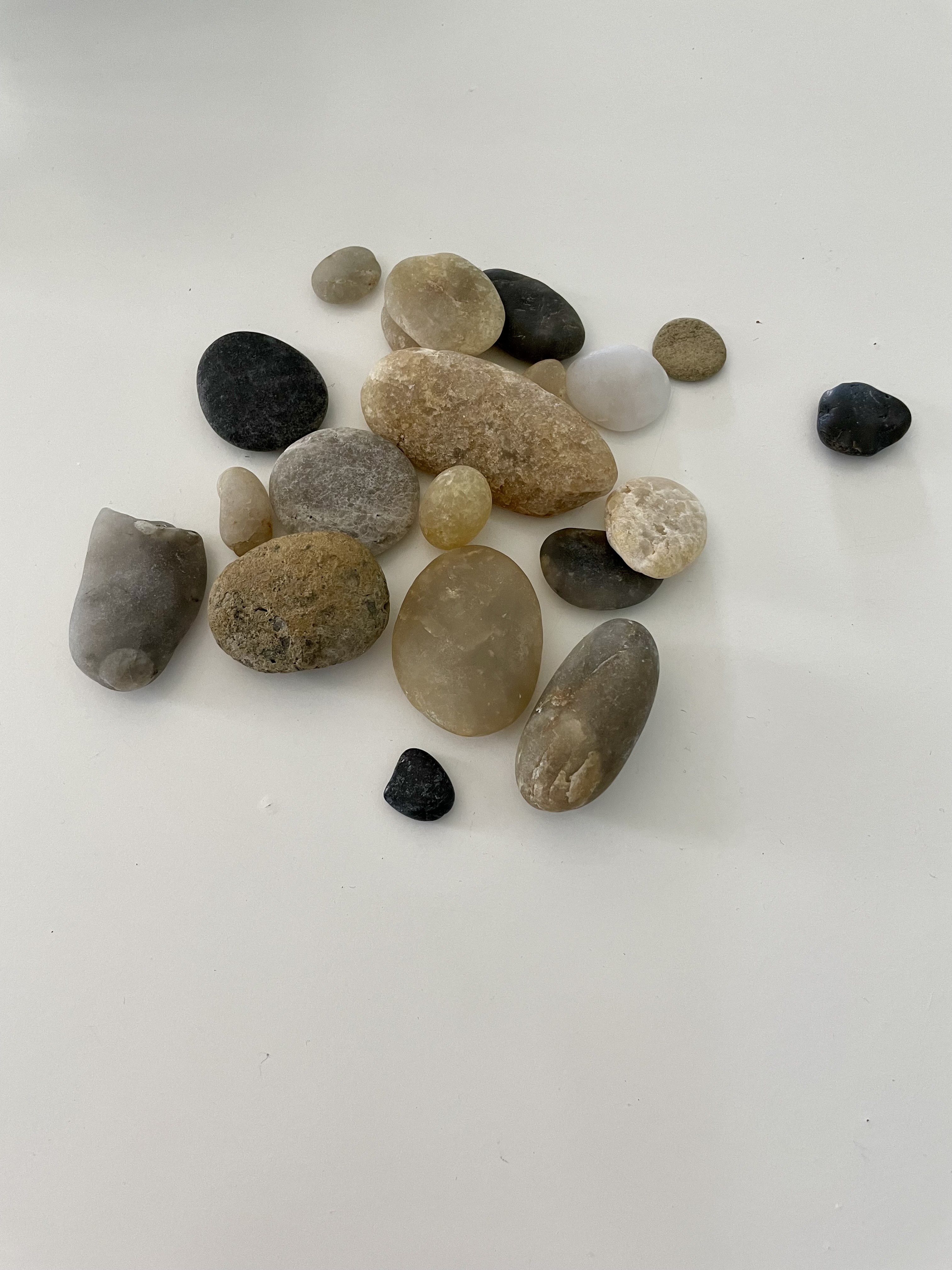 Landscape Image 1