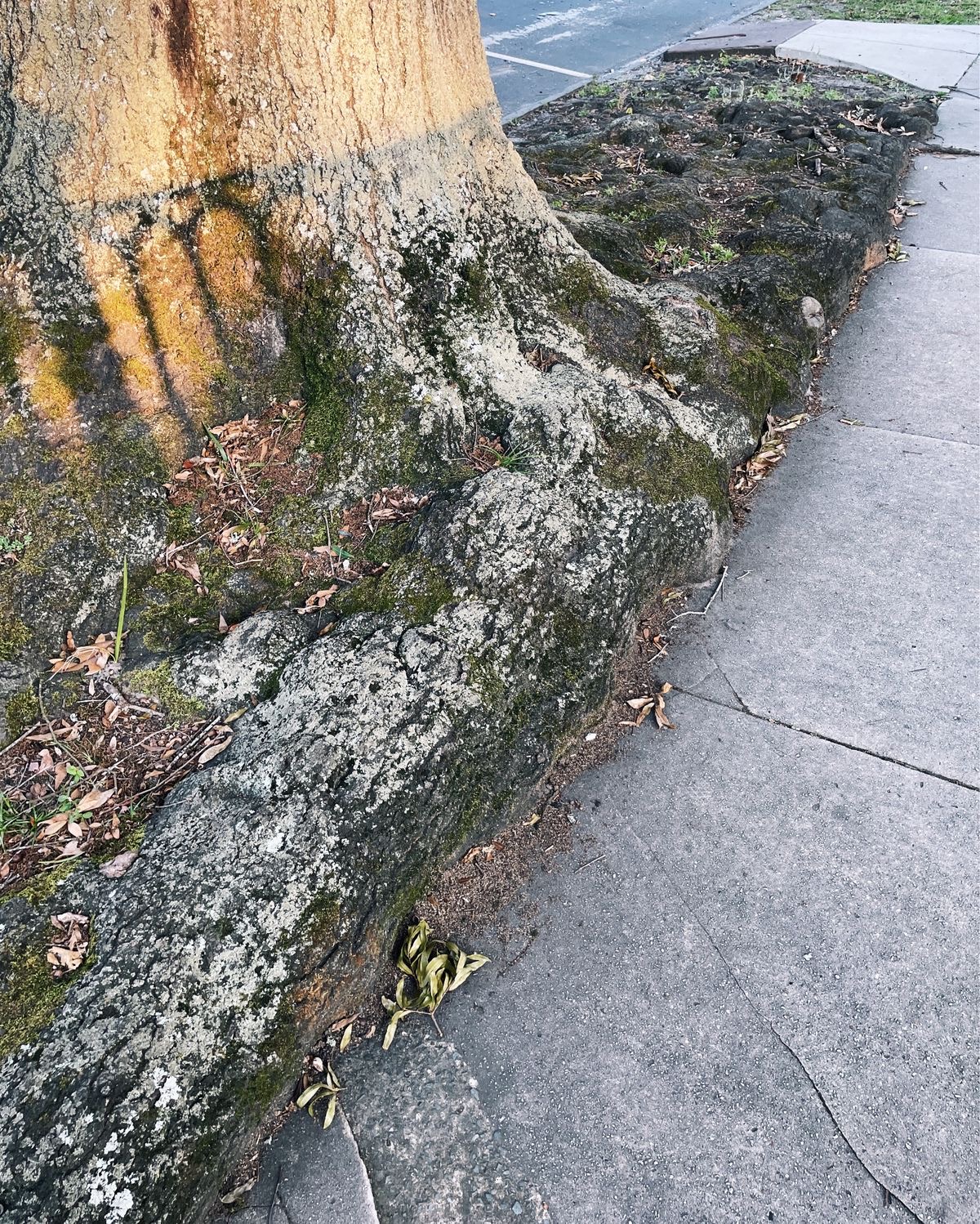 Landscape Image 1